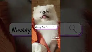 Messy Fur Don't Car - Dog Clothing