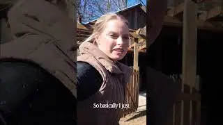 Chaotic Horse Show Packing Vlog! #equestrianjourney #horse #horseshows #equestrian #horseriding