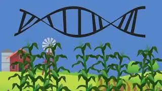 Tracing a species&rsquo; history through its genes