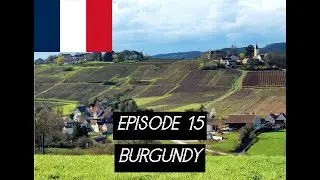 Episode XV - Burgundy | WSET Level III Award in Wine Review