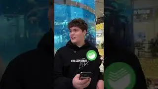 Достали эти невнимательные друзья и банки со своими 115-фз