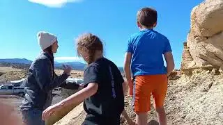 Desert Herping