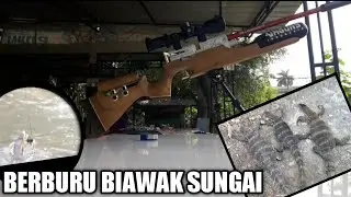 BERBURU BIAWAK ||NGERAMBO DAN NYANGGONG BIAWAK SUNGAI
