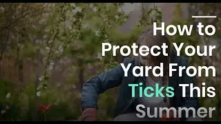 Tick Control and Prevention: Protecting Yourself from Tick Bites