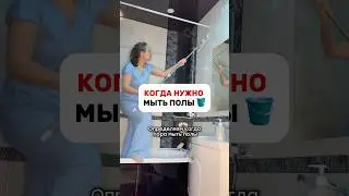 Швабра Nova C 12 л #WW275427 #богатство #аффирмации #юмор #тренды