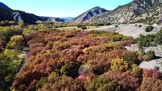 Some Colorado Autumn Colors 2017 - Harvey Gap (drained) included