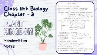 Plant Kingdom - Notes PDF || Class 11th Biology Chapter 3 Handwritten Notes