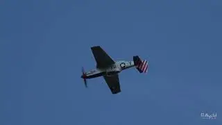 P-51D Mustang 