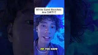 Why White Sand Beaches Are Actually NASTY (The Truth Will Shock You)