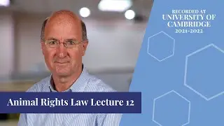 Animal Rights Law Lecture 12 [University of Cambridge, 2021-2022]