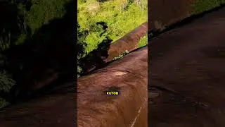 Хин Сам Ван: впечатляющая Скала Трёх Китов #факты #шортс #люди #travel