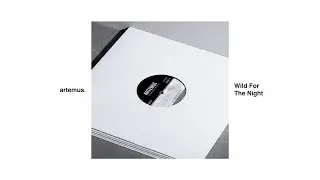 Wild For The Night (Mini Mix)
