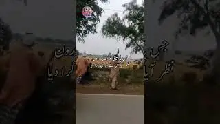 Pakistani Civilians Armed, Claim Shooting Down Multiple Indian Drones