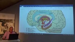 Prof. dr. Florian Colceag: toceala, pedeapsa, violenta in clasa