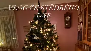 VLOG ZE &Scaron;TĚDR&Eacute;HO DNE 2025