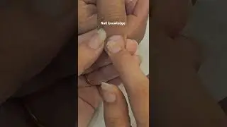 Important knowledge for beginner nail artist's #nailvideos #nails #nailtech #professionalnails