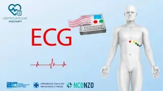 ECG | BASICS | NURSING AND HEALTHCARE PROCEDURES