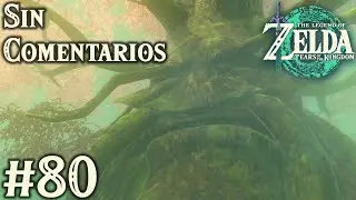 Bosque Kolog | Playthrough 80 | Sin comentarios | The Legend of Zelda: Tears of the Kingdom