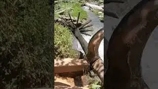 300 Years old rice mill | Village Life in Kashmir Pakistan | Old Culture #shortvideo #viral #india