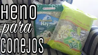TODO sobre el HENO 🌱: DIFERENCIA HENO/PAJA + MEJOR heno CONEJOS