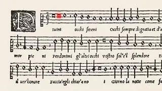 Divini occhi sereni / Philippe Verdelot