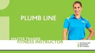 Plumb Line