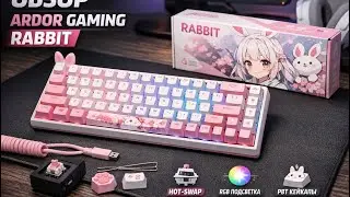 Обзор на клавиатуру ardor gaming rabbit