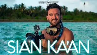 SIAN KA'AN | PUNTA ALLEN ¡POR CUENTA PROPIA! | ¿CÓMO LLEGAR? | 2 DÍAS| DELFINES | HOSPEDAJE | COSTOS
