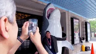 The Shark Is Broken | The Brucester