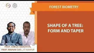 Shape of a tree: Form and Taper