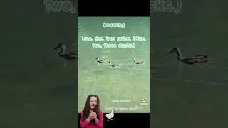 Teach Spanish when you are outside. Ducklings Spanish lesson. #spanishforbabies #spanishclassroom