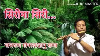 Sirima siri Ni Kanchhi | Nepali evergreen song(सिरीमा सिरी) | Narayan Gopal and Gyanu Rana |