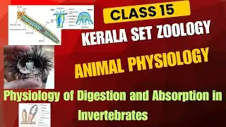 Class 15 Digestion and Absorption in invertebrates