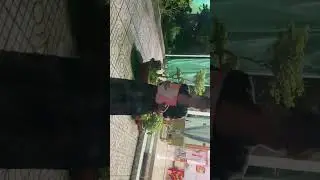 Tết 2025 nh&agrave; PNNT p3