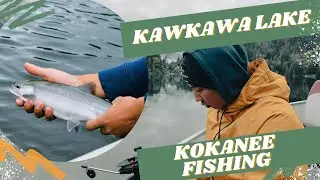 Озеро Кавкава &mdash; рыбалка на кокани + как поймать!