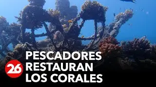 &iquest;Por qu&eacute; los pescadores indonesios restauran los corales que destruyeron? | #26Global