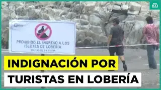 Indignaci&oacute;n por turistas que invaden santuario de lobos marinos