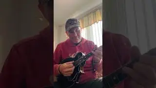 It&rsquo;s the last #MandolinMonday of 2024! #bluegrass #mandolin