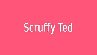 RWI - Pink Phonics Story 1 - Scruffy Ted - story