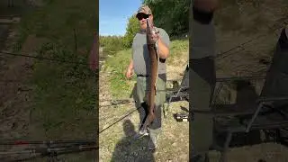 Super St&ouml;r auf Tauwurm,stabiler Fisch #angeln #fishing
