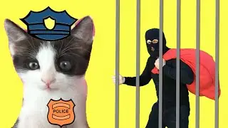 Mis gatos graciosos Luna y Estrella encierran al ladrón en la cárcel / Funny cats