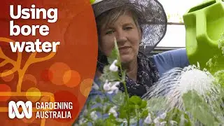 Things to consider when using bore water in your garden | Gardening 101 | Gardening Australia