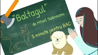 ”Baltagul” de Mihail Sadoveanu