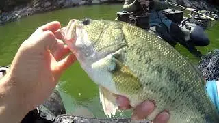 DUAS TARDES DE PESCA AOS ACHIGÃS RIO TÂMEGA