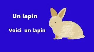 10  DOMESTIC ANIMALS IN FRENCH