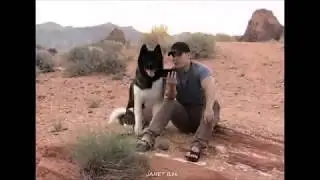 I love my dog ♥Henry Cavill and Kal Cavill♥