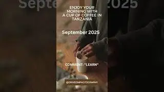 Safari Adventure: Tanzania Awaits