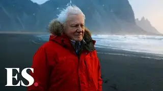 David Attenborough: A Life On Our Planet - 