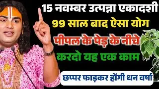 15 नवंबर उत्पन्ना एकादशी के दिन पीपल के पेड़ के नीचे ये काम करना मत भूलना |