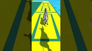 zebra running kids cartoon short video | animals running video #babyvideos #viral #shorts